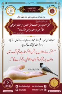 Nabi ur Rahmah Project - ( Prophet of Mercy Project ) - Darul Huda