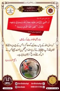 Nabi ur Rahmah Project - ( Prophet of Mercy Project ) - Darul Huda