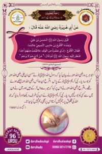 Nabi ur Rahmah Project - ( Prophet of Mercy Project ) - Darul Huda